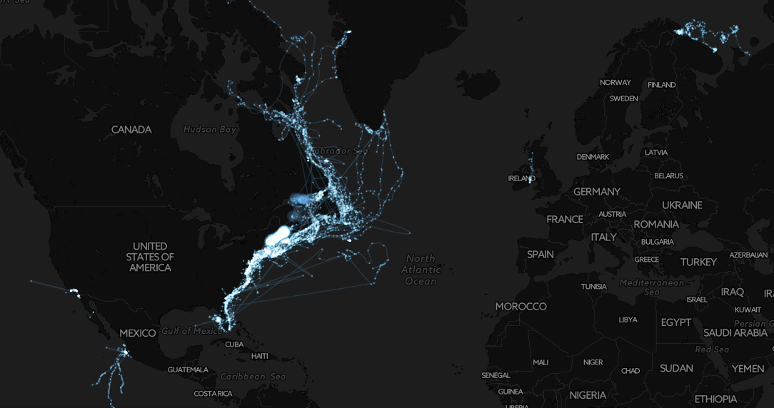 Inspiring solutions: Ecohack World @ CartoDB (Part II)