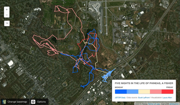 Phineas track map
